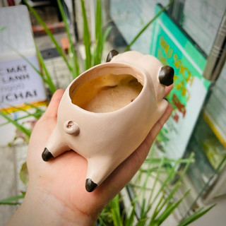 [CÓ SHIP TỈNH] Chậu Chó Pug ngủ.