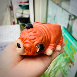 [CÓ SHIP TỈNH] Chậu Chó Bull Nằm Ngủ