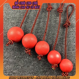Đồ chơi, Dụng cụ huấn luyện cho chó