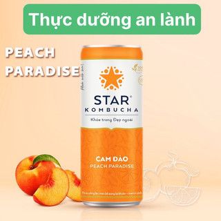 Star kombucha vị cam đào / peach 250ml