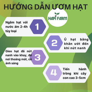 Hạt Giống Cà Chua Bi(Combo 3 Gói) -Trái Nhỏ Xinh, Dễ Trồng, Dễ Chăm TC26