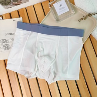 Combo 4 Quần Sịp Boxer Pro Mesh Vải Su Đúc Lụa Băng Cao Cấp Không Đường May NTA Underwear