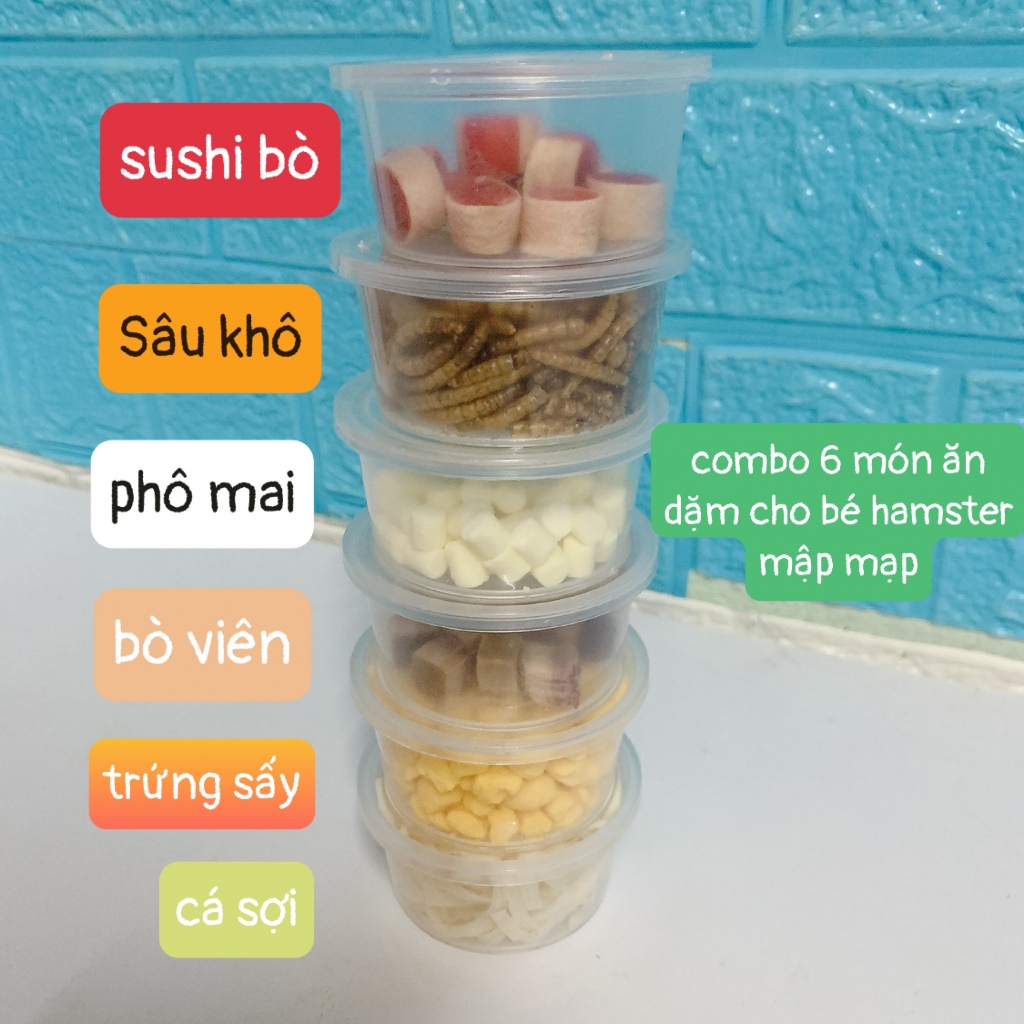 Đồ ăn dặm cho hamster combo 6 món giúp hamster mập mạp béo ú
