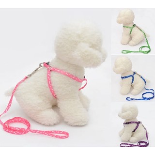 Dây dắt yếm thú cưng chó mèo mỏng 1.0 - farm pet