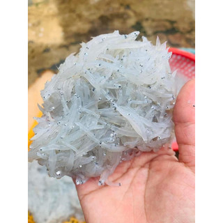 Cá cơm mờn sữa, cá cơm ngần (giao hỏa tốc HCM)