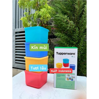 Hộp trữ mát cao cấp 1L Tupper Ware
