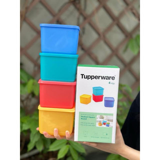 Bộ 2 hộp trữ mát, khô cao cấp Tupper Ware