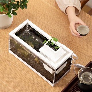 Bể cá bằng nhựa nhỏ có nắp đậy BUNA,bể cá thủy sinh để bàn làm việc,30x13x19.3cm, hộp đựng đồ câu cá