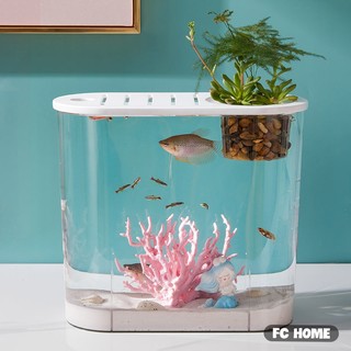 Bể Cá Bằng Nhựa Trong Suốt BUNA, Có Nắp Đậy Trang Trí Văn Phòng 32x14.4x16.2cm, Hộp đựng đồ câu cá