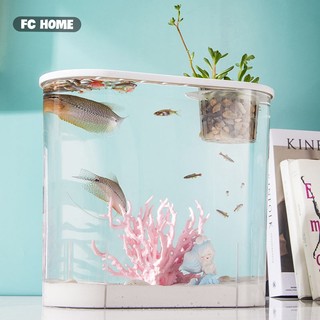 Bể cá Để bàn nhỏ BUNA Độ Nét Cao Nhựa Trong Suốt Văn Phòng, nhà 32x14.4x16.2cm, Hộp đựng đồ câu cá