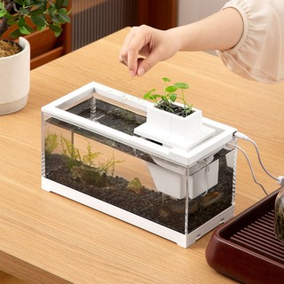 Bể cá bằng nhựa nhỏ có nắp đậy BUNA, bể cá để trên bàn làm việc, 30x13x19.3cm, Hộp đựng đồ câu