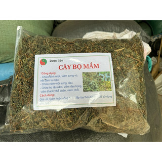 1kg cây bọ mắm khô cây thân tím. chữa ho, viêm họng, phế quản…