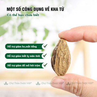 Quả kha tử khô 1kg, hạt to, sạch, kha tử ngậm ho, dùng nấu siro, hỗ trợ giảm đau họng, khan tiếng