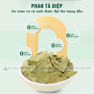 Phan tả diệp 2kg ( Lá phan tả diệp khô, thơm hỗ trợ nhuận tràng, giữ gìn vóc dáng) - Chợ Thảo Dược Việt