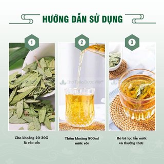 Phan tả diệp 2kg ( Lá phan tả diệp khô, thơm hỗ trợ nhuận tràng, giữ gìn vóc dáng) - Chợ Thảo Dược Việt
