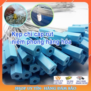 Gói 10 dây khóa niêm phong cáp rút 25cm, 40cm, có seri, kẹp chì niêm phong xe tải, cửa kho, container...