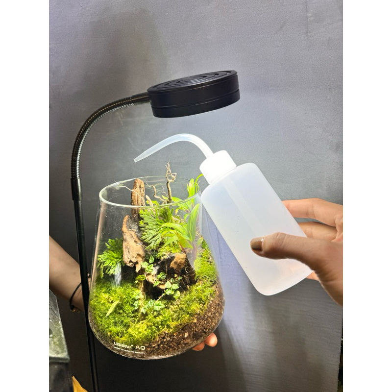 Bình cấp nước 250ml, bình cấp ẩm. Bình cấp nước