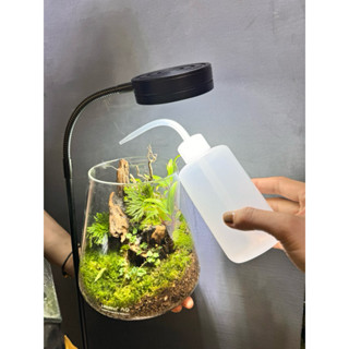 Bình cấp nước 250ml, bình cấp ẩm. Bình cấp nước