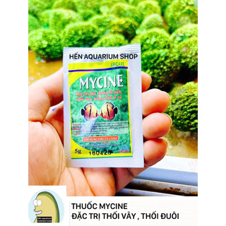 Thuốc Mycine đặc trị bệnh lở loét , thối vây , thối đuôi trên cá cảnh