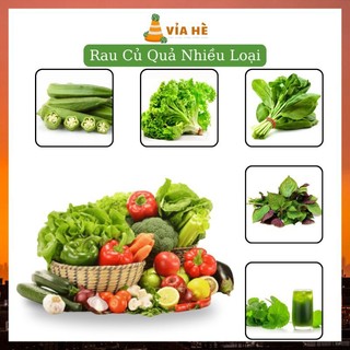 Hạt giống rau củ quả nhiều loại chất lượng dễ nảy mầm, trồng chậu ban công, hạt giống Phương Nam
