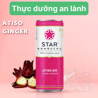 STAR KOMBUCHA ATISO ĐỎ/ ATISO GINGER 250ml