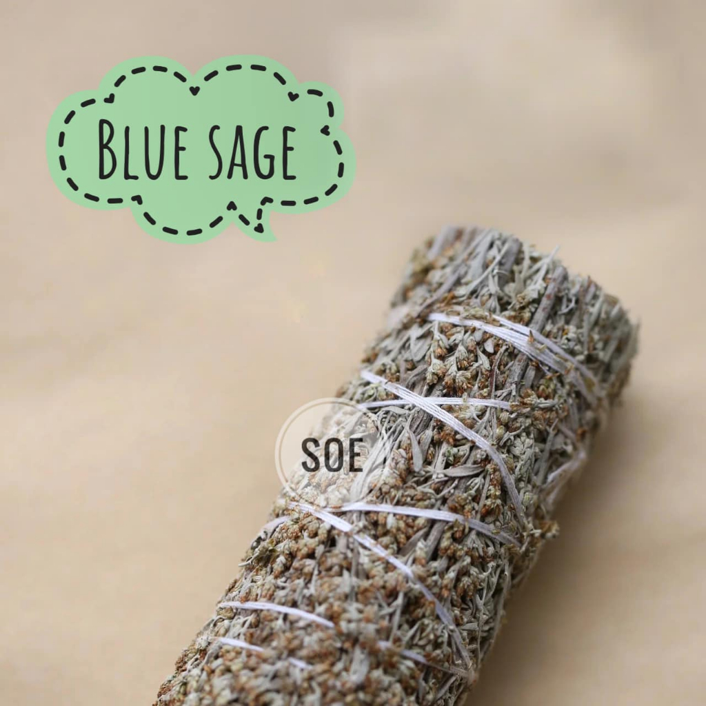Xô xanh Blue Sage Xô thơm thanh tẩy SOE healing thanh tẩy năng lượng chiêu tài lộc