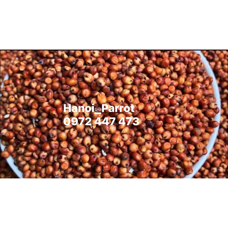 Hạt bobo đỏ