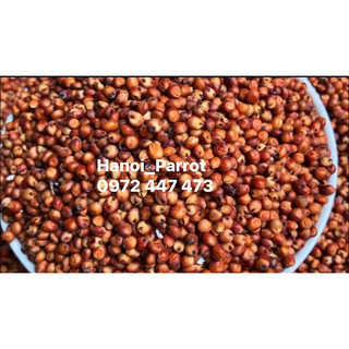 Hạt bobo đỏ