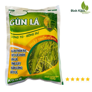 GÙN LÁ. Cứng cây, gùn lá, ngắn lóng, tuột lá chân, đòng to, bông bự (500g)