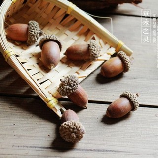 Quả sồi khô thật, trái sồi, hạt sồi, đạo cụ chụp ảnh, decor quán cà phê, giáng sinh