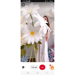 Cụm hoa giấy == 6 bông cúc trắng