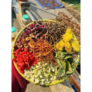 Mộc hoa trà đẹp da, mát gan