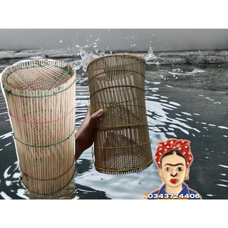 Lộp tép siêu chạy tép