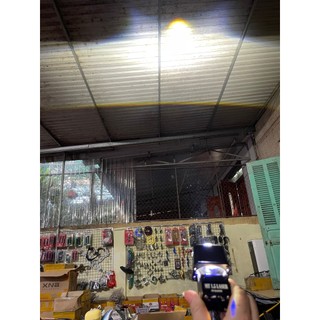 Đèn bi cầu bi led mt1.5 có trợ pha 6+1 mẫu mới nhất 2024