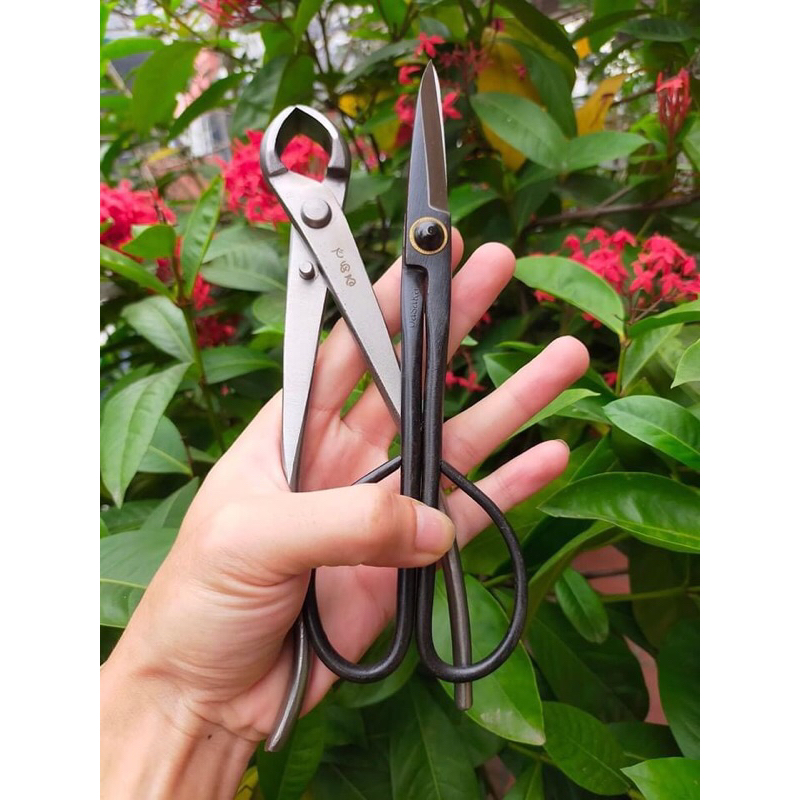 combo dụng cụ làm vườn cây cảnh,kìm cạp