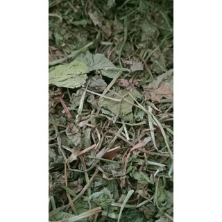 100g cây rau má sấy khô hữu cơ