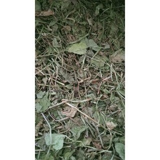 100g cây rau má sấy khô hữu cơ