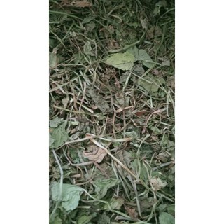 100g cây rau má sấy khô hữu cơ