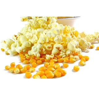 1kg bắp - dùng làm bắp rang bơ đảm bảo nổ tuyệt đối