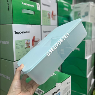 Hộp trữ đông freezermate 3.1L (1 hộp)