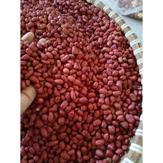 lạc (đậu phộng) đỏ 1kg (lạc Nghệ An)