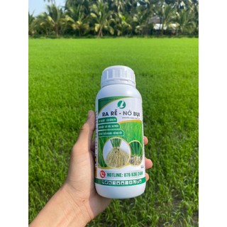 Ra rễ-nở bụi 1 lít kích rễ lúa khoẻ, nở bụi nhanh