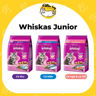 Hạt thức ăn cho mèo Whiskas Junior cho mèo con từ 2-12 tháng tuổi