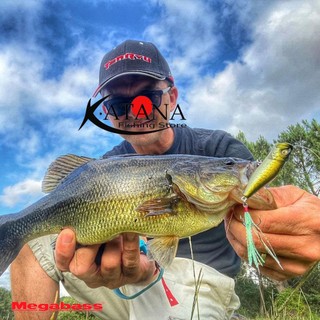 Mồi Câu Lure Megabass Pop-X