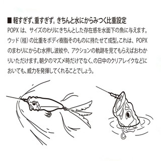 Mồi Câu Lure Megabass Pop-X