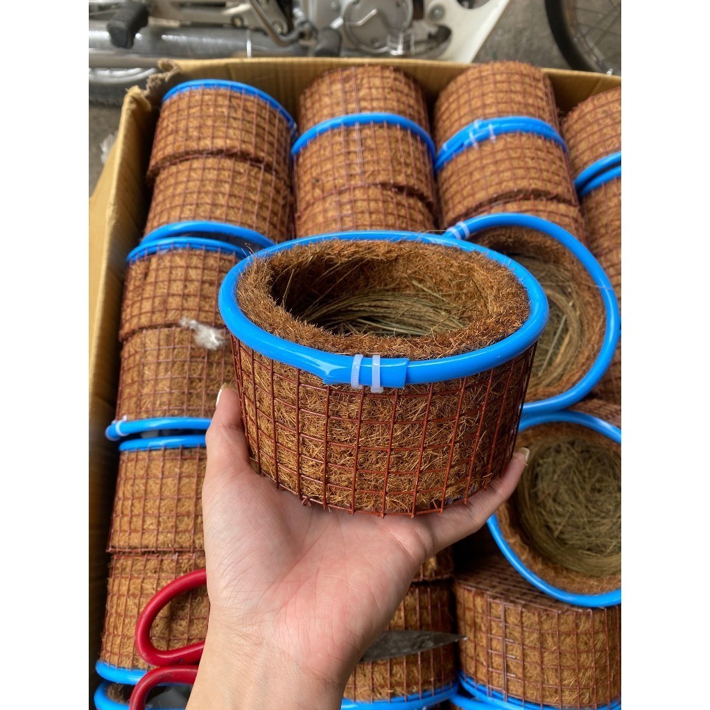 Tổ chào mào, khướu, mi, cu gáy, bồ câu và các loài chim, Tổ sinh sản cho chim, ổ đẻ cu gáy, mào chòe