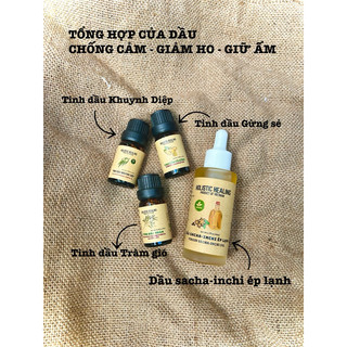 Tinh dầu Mùi già/ngò rí nguyên chất đậm đặc 10ml
