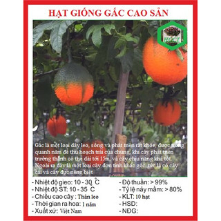 Hạt giống cây gấc cao sản