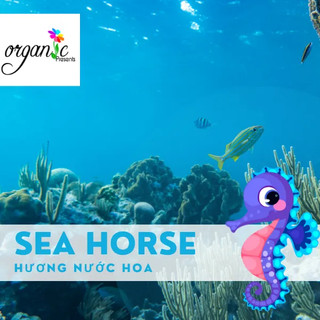 Hương nước hoa / sữa tắm seahorse