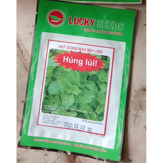 Hạt giống húng bạc hà ta